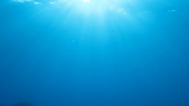 Vue du soleil sous l'eau 