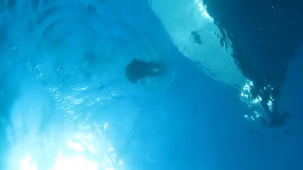 Potápěč (silueta), jachta, moře, slunce — Stock video