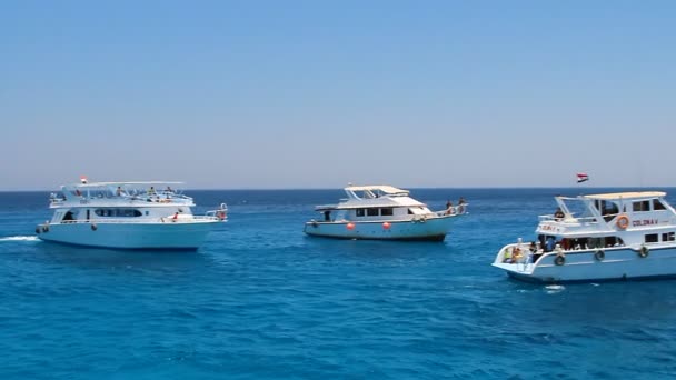 Yachts privés de luxe naviguant en baie 