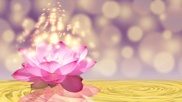 Pink Lotus Light Faith 图库照片