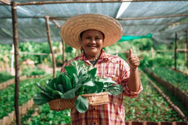Mutlu Asyalı çiftçi sebze tarlasında kameraya bakıyor..