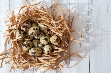 Ahşap arka planda küçük bıldırcın yumurtaları. Mutlu Paskalyalar.