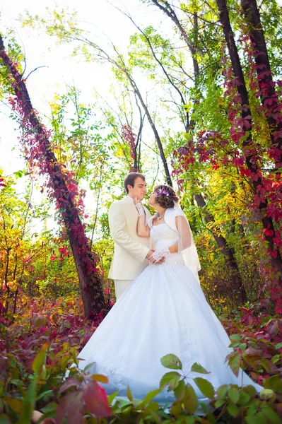 Esguicho e noiva — Fotografia de Stock