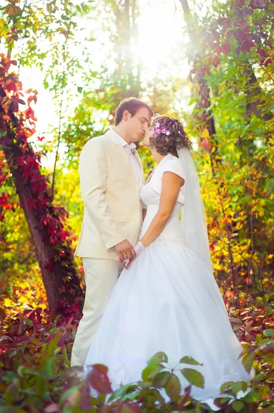 Esguicho e noiva — Fotografia de Stock