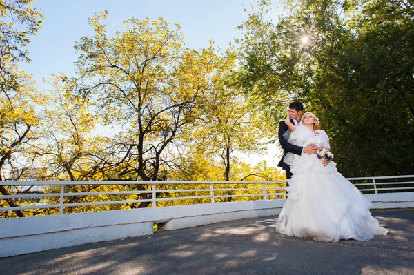 Bride and groom — Stock Photo, Image