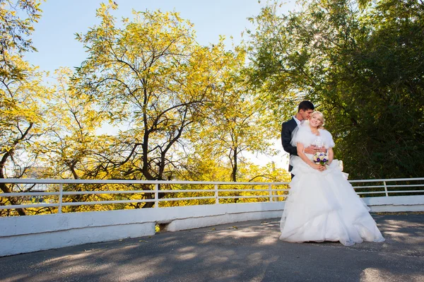 Nevěsta a ženich — Stock fotografie