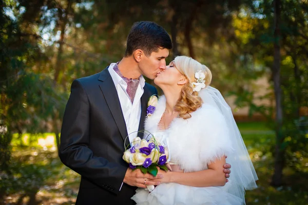 Bride and groom — Stock Photo, Image