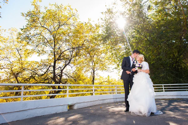 Esguicho e noiva — Fotografia de Stock