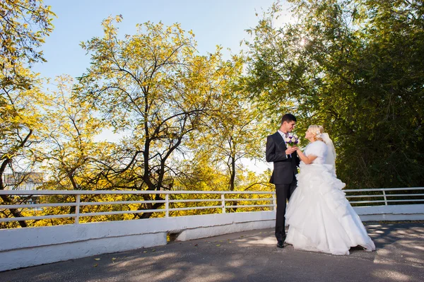 Groom and  bride — Stock Photo, Image