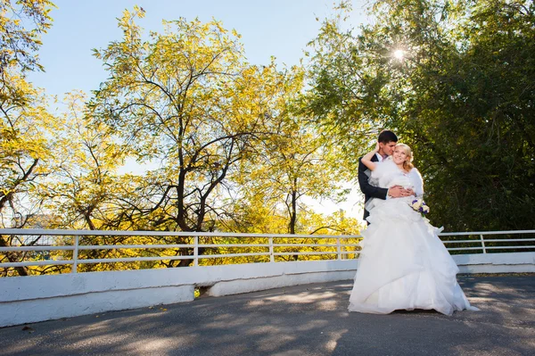 Groom and  bride — Stock Photo, Image