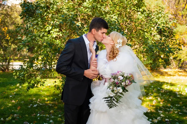 Esguicho e noiva — Fotografia de Stock