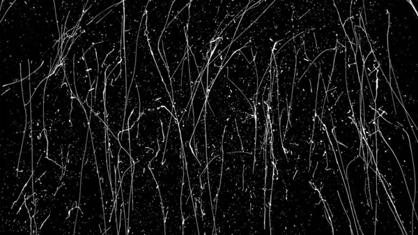 Éclaboussure Peinture Blanche Isolée Sur Fond Noir Texture Superposition Perturbée — Image vectorielle