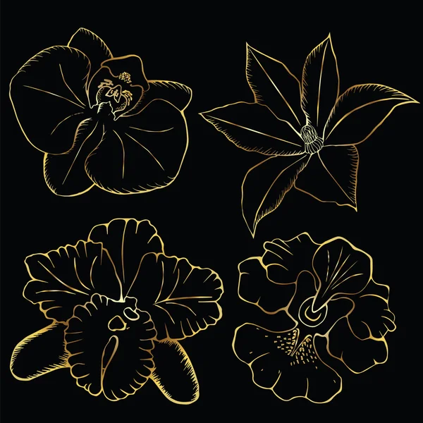 Golden orchid. contour flowers on a black background. — Stock Vector