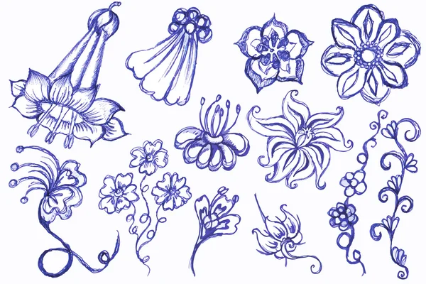 Desenho de flores uma caneta azul . —  Vetores de Stock