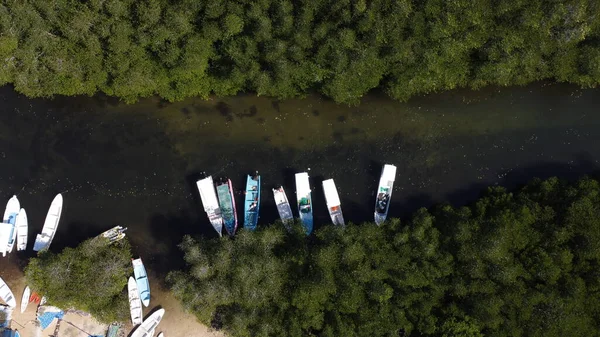 Junggut Batu, Nusa Lembongan 'daki mangrov ormanının hava görüntüsü. O civarda birkaç balıkçının evi var. Saf deniz suyu olan beyaz kumsal. Mangrovlar kalın ve sağlıklı görünüyor.