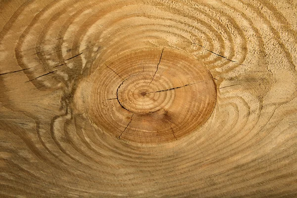 Hrubě tesaného dřeva — Stock fotografie