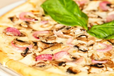 Pizza.
