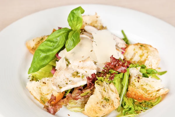 Panzanella Toscaans brood salade — Stockfoto