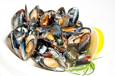 beyaz şarap blueshell midye