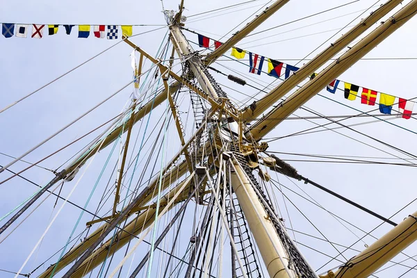 Albero della Tallship — Foto Stock