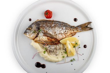 Patates püresi ve kremalı mantar soslu Dorado. Beyaz bir arkaplanda izole edilmiş.