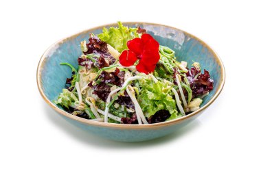 Chuka deniz yosunlu salata, soya fasulyesi filizi ve elma. Beyaz bir arka planda, izole edilmiş. Vejetaryen yemeği..