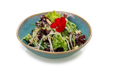 Chuka deniz yosunlu salata, soya fasulyesi filizi ve elma. Beyaz bir arka planda, izole edilmiş. Vejetaryen yemeği..