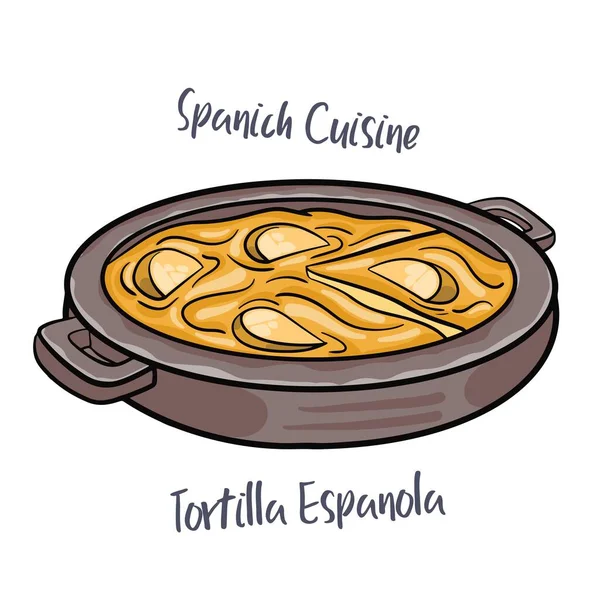 Tortilla Espanola Spanisches Omelett Mit Kartoffeln Und Zwiebeln Typisch Spanische — Stockvektor