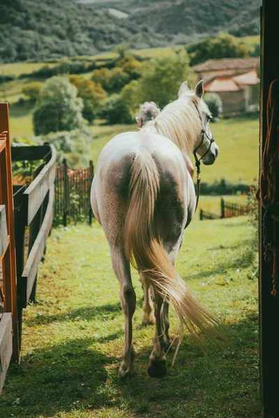 Mann Mit Weißen Haaren Und Brille Blauen Jeans Und Blauem — Stockfoto