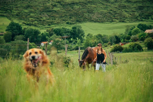 Amazon Woman Walking Countryside Brown Horse Dog Cowgirl Woman Wearing — Stock Photo, Image
