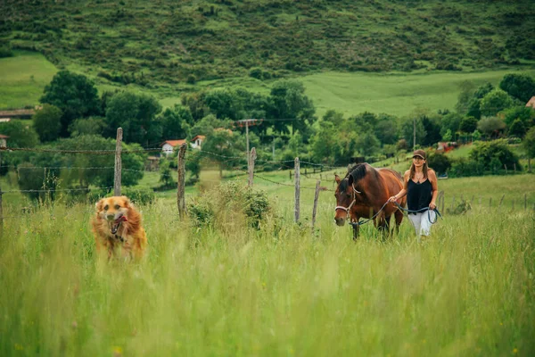 アマゾンの女性は茶色の馬と犬と田舎を歩く カウガールの女性は茶色のキャップ 黒のTシャツ 白いパンツや乗馬ブーツを着ている 緑の風景は農村部の背景に家で見られます — ストック写真