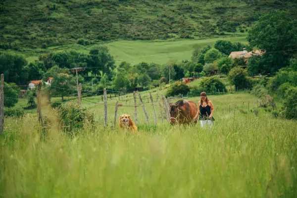 Mujer Amazona Paseando Por Campo Con Caballo Marrón Perro Mujer — Foto de Stock