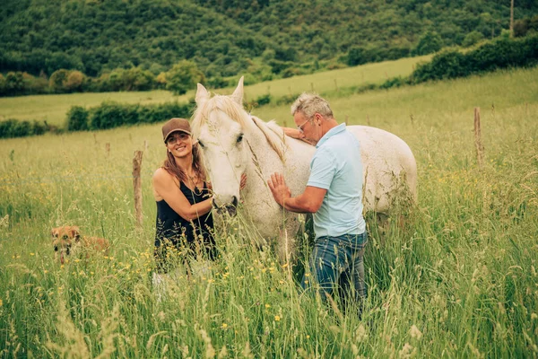 Mężczyzna Kobieta Łące Wysoką Trawą Głaskający Białego Konia — Zdjęcie stockowe