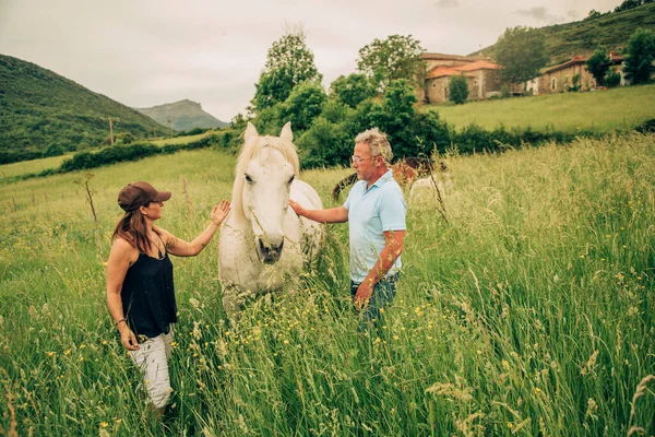 Man Woman Meadow Tall Grass Petting White Horse — Stock Photo, Image