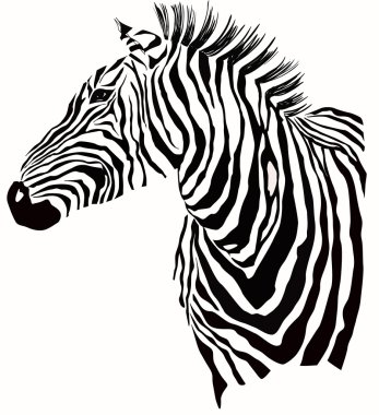 zebra silueti hayvan illüstrasyon