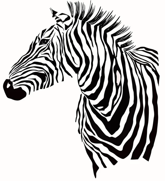 zebra silueti hayvan illüstrasyon