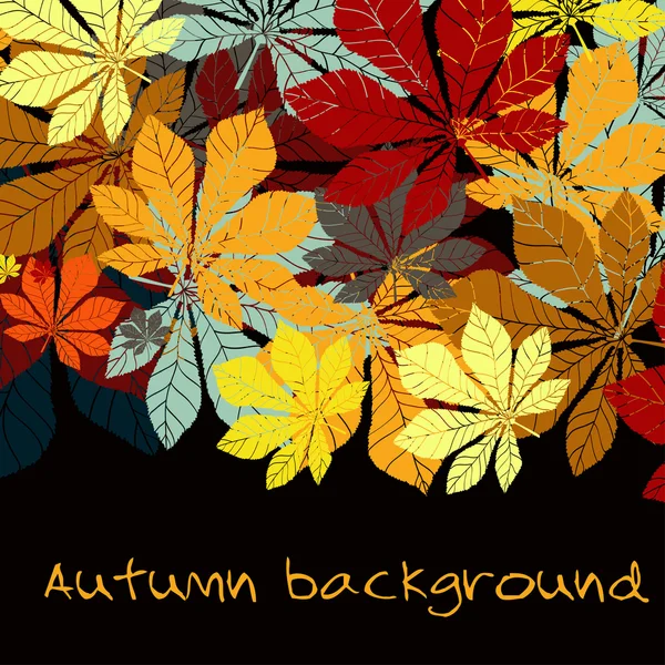 Coleção de castanha de folhas de outono — Vetor de Stock