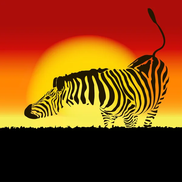 Illustration der Zebrasilhouette bei Sonnenuntergang, Vektor — Stockvektor