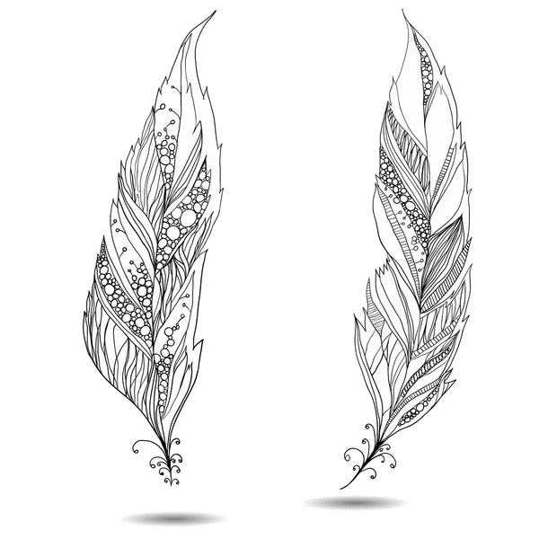 Decorative bird feather. — Stock Vector