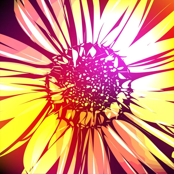 Patroon met abstract bloemen daisy — Stockvector