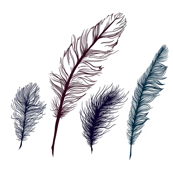 Set de plumas multicolores. Sobre fondo blanco — Archivo Imágenes Vectoriales