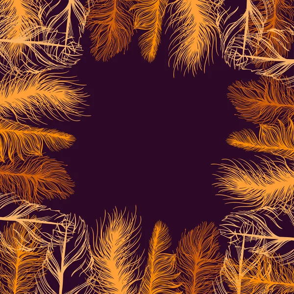 Cadre de plumes colorées. Contexte du SPE — Image vectorielle