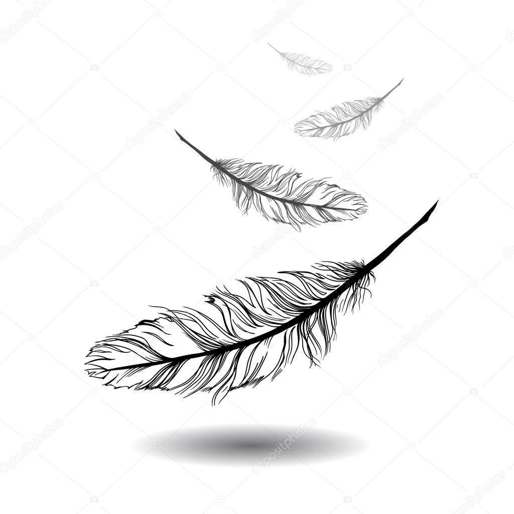 flying feathers with white background. EPS 10