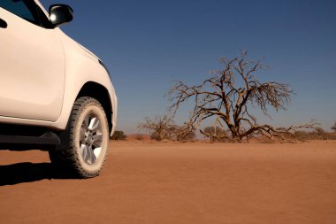 Güneşli bir günde Namib Çölü 'nün kırmızı kumlarında beyaz bir araba duruyor. Sossusvlei, Namibya