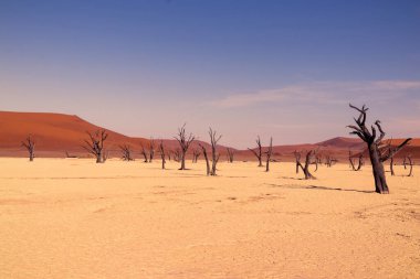 Deadvlei 'nin meşhur yeri. Namib çölünün güzel manzarası