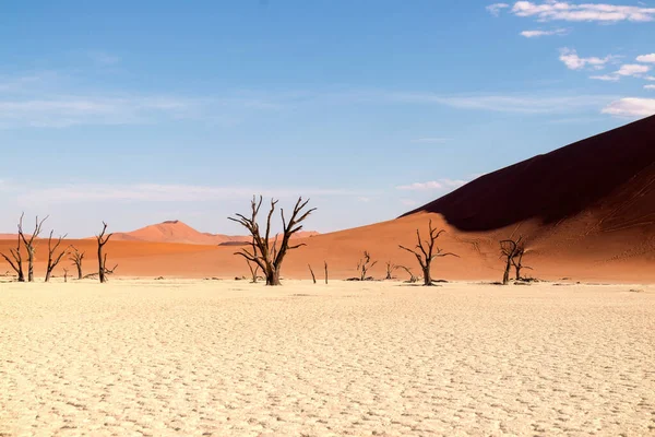 Beroemde Plaats Deadvlei Prachtig Landschap Namibische Woestijn — Stockfoto