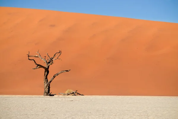 Beroemde Plaats Deadvlei Prachtig Landschap Namibische Woestijn — Stockfoto