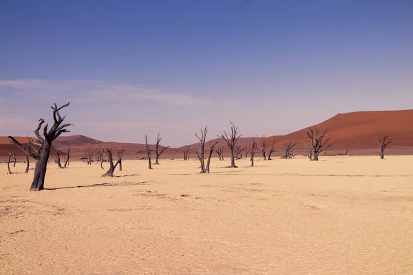 Beroemde Plaats Deadvlei Prachtig Landschap Namibische Woestijn — Stockfoto