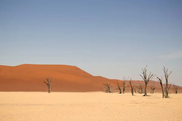 Beroemde Plaats Deadvlei Prachtig Landschap Namibische Woestijn — Stockfoto