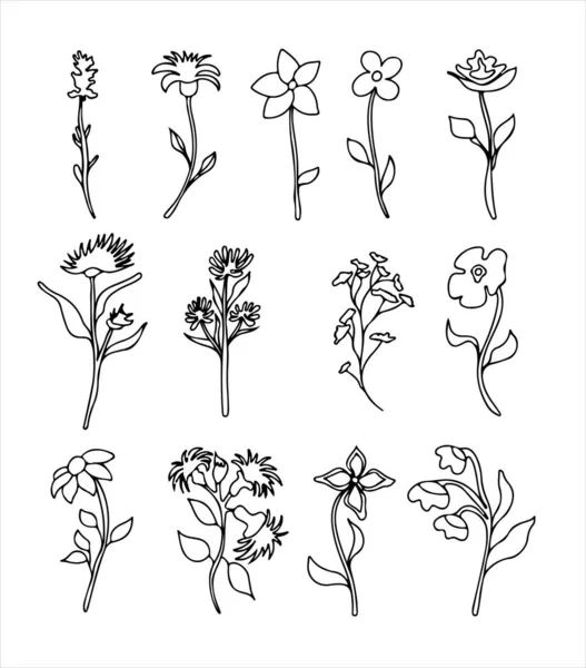 花柄ベクトルドアデザイン要素。手の装飾的な葉や花輪を描いた。花飾り用の仕切り。葉や花を持つ木の枝。フレーム — ストックベクタ